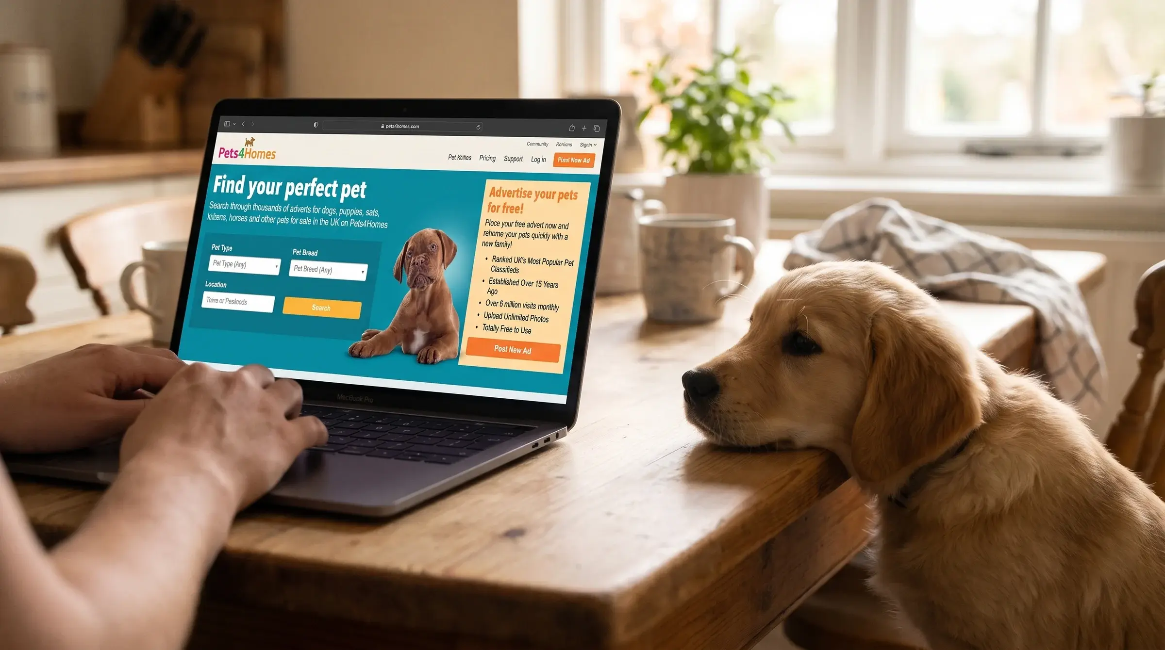 Pets4Homes: Maintenance and ad operations for the UK's leading pet marketplace