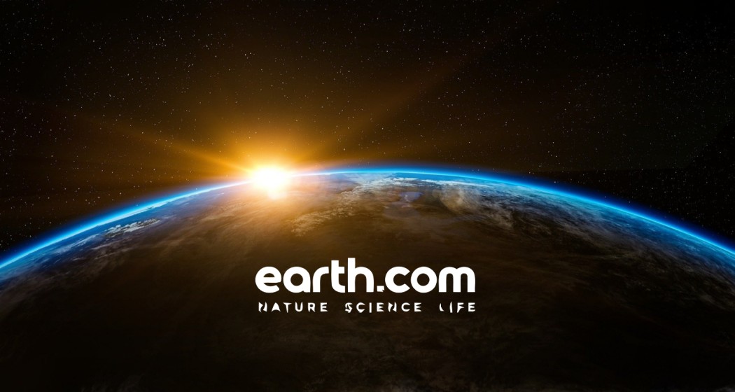 Earth.com is a website that aggregates everything you need to know about our planet.