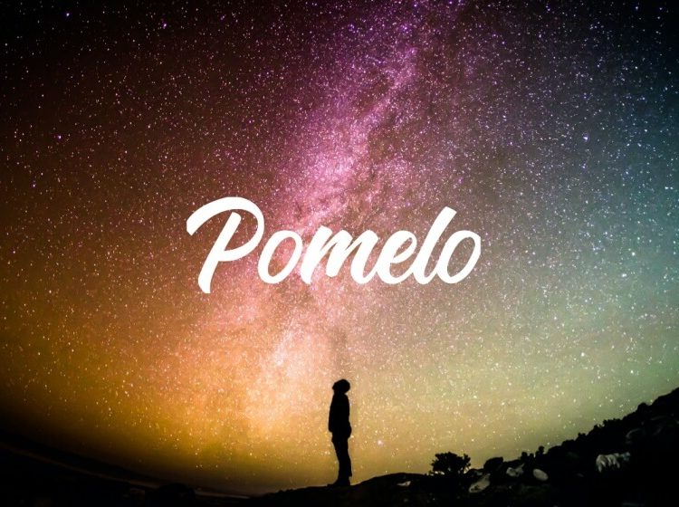 Pomelo aims to provide innovative tools for companies to create and manage digital communication